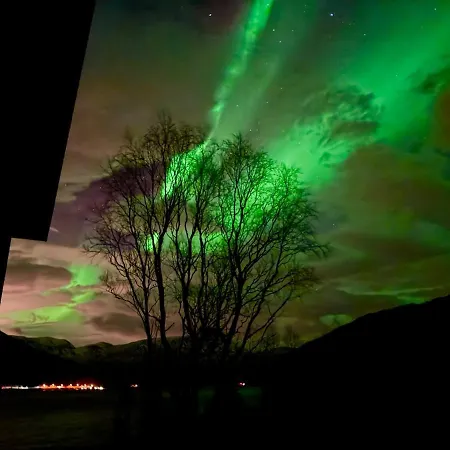 Aurora * ترومسو