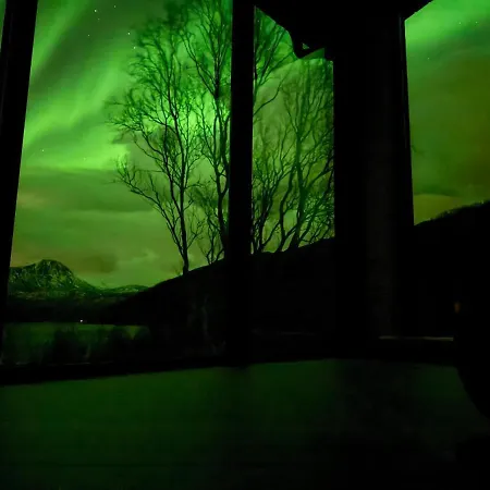 Aurora Tromsø